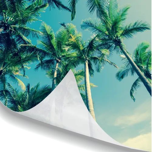 Soft Backlit / Lightbox Fabric