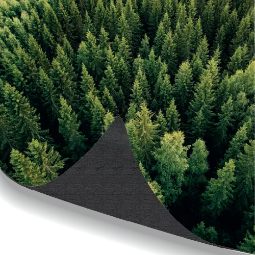 Blockout / Black Backed Fabric